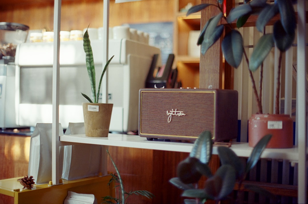 Kindling Coffee Roasters cafe interior with reclaimed fir countertops, natural light, and a record player in the corner